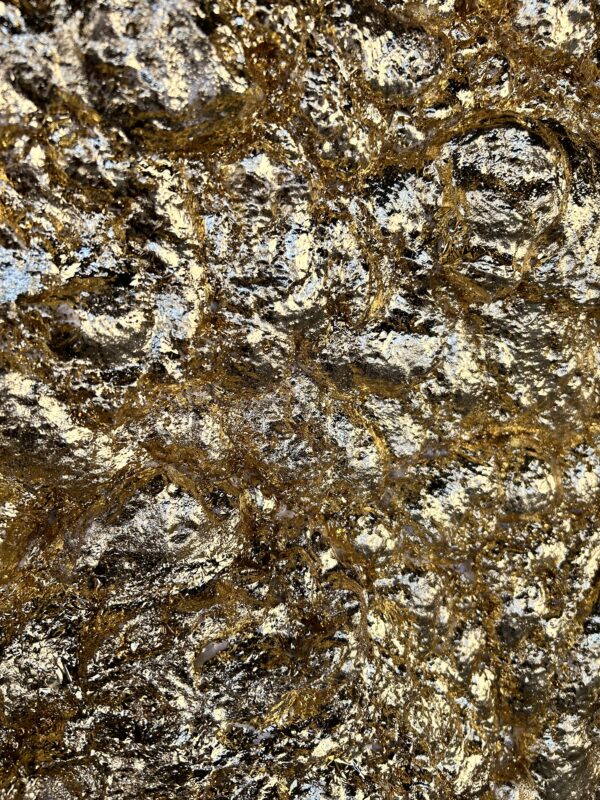 Golden Nuggett - Image 3