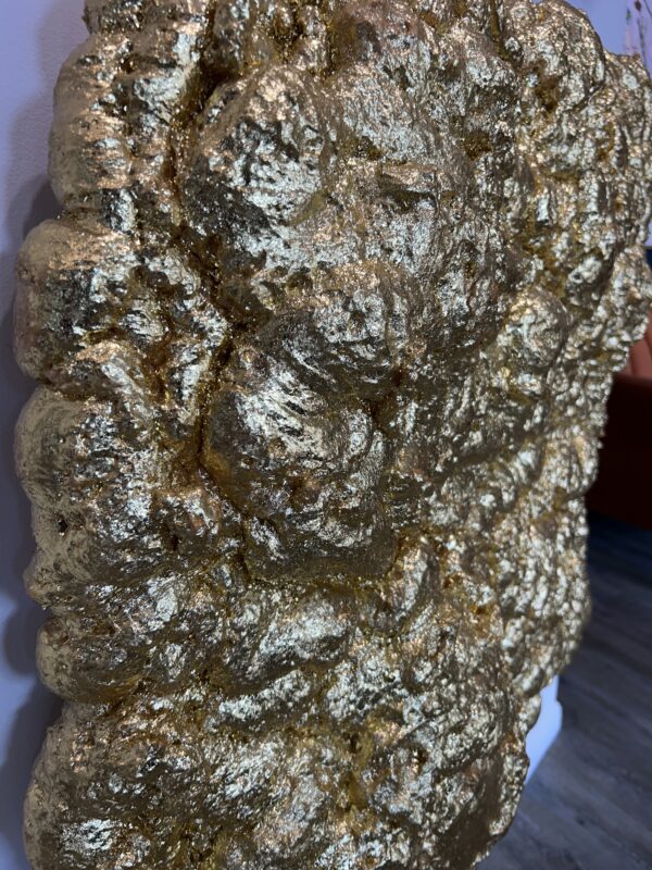 Golden Nuggett - Image 6
