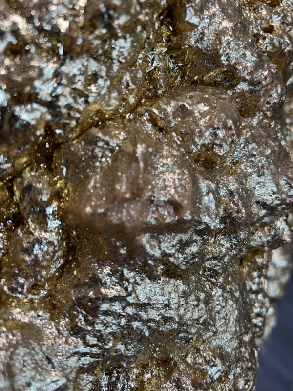 Golden Nuggett - Image 7